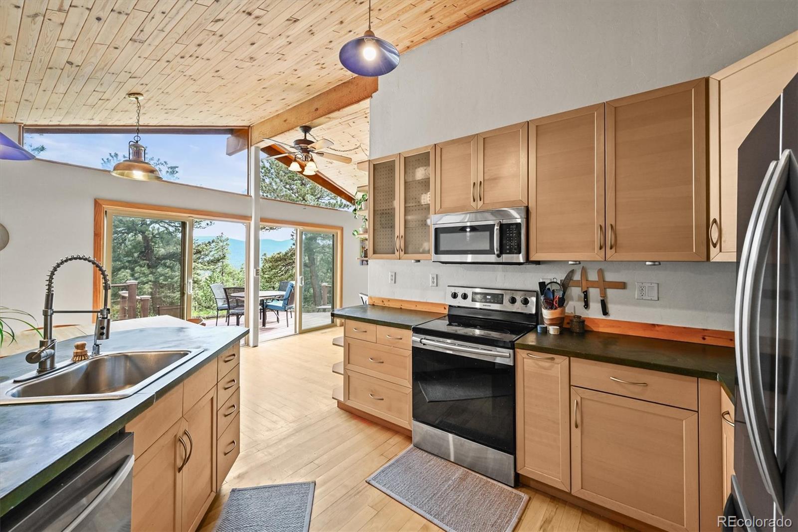MLS Image #6 for 546  haul road,nederland, Colorado