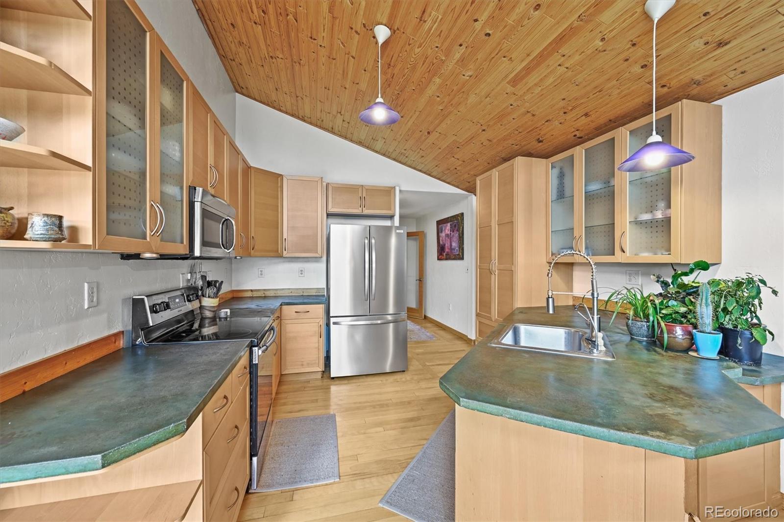 MLS Image #7 for 546  haul road,nederland, Colorado