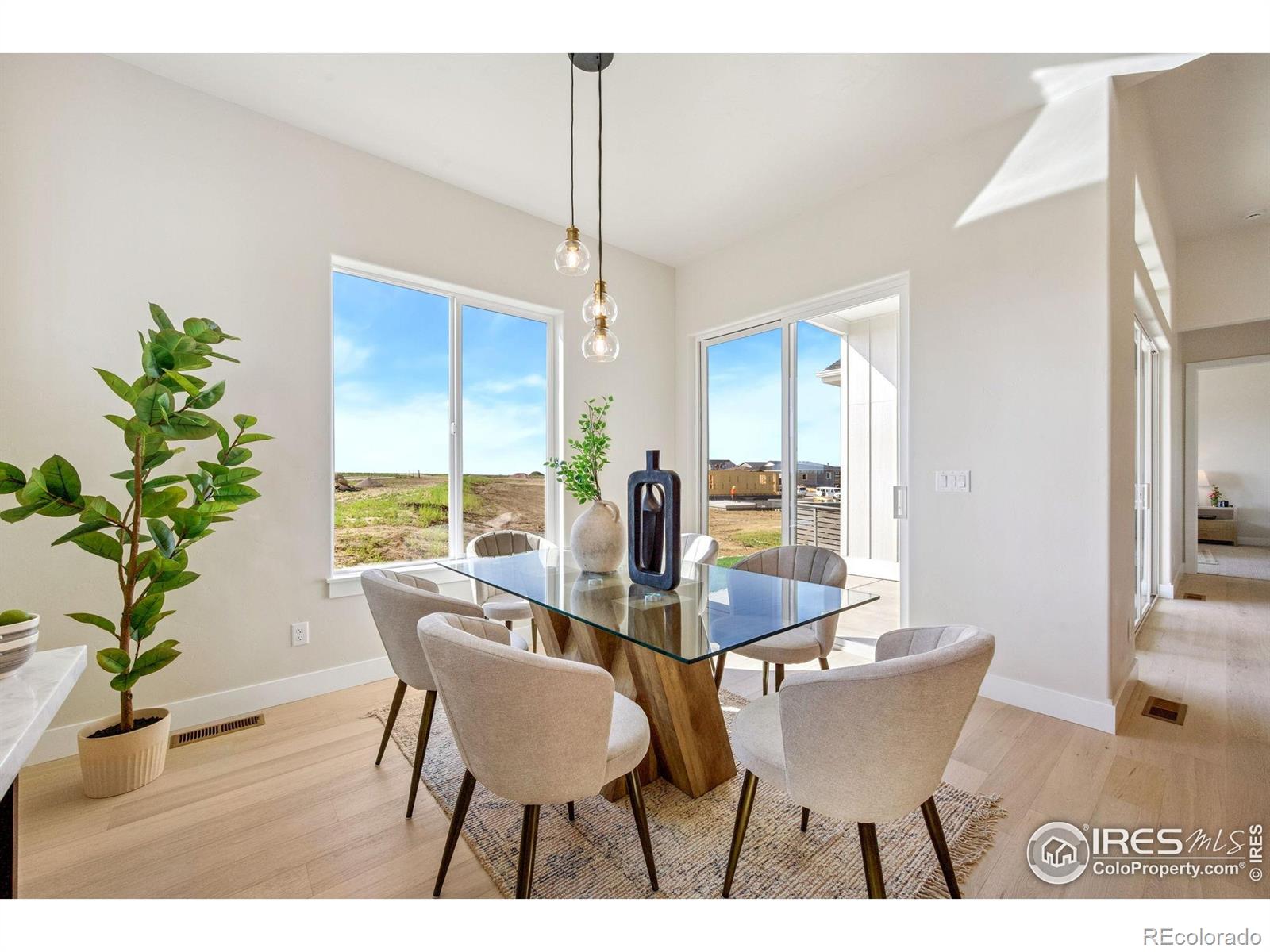MLS Image #15 for 2996  elk lookout drive,loveland, Colorado