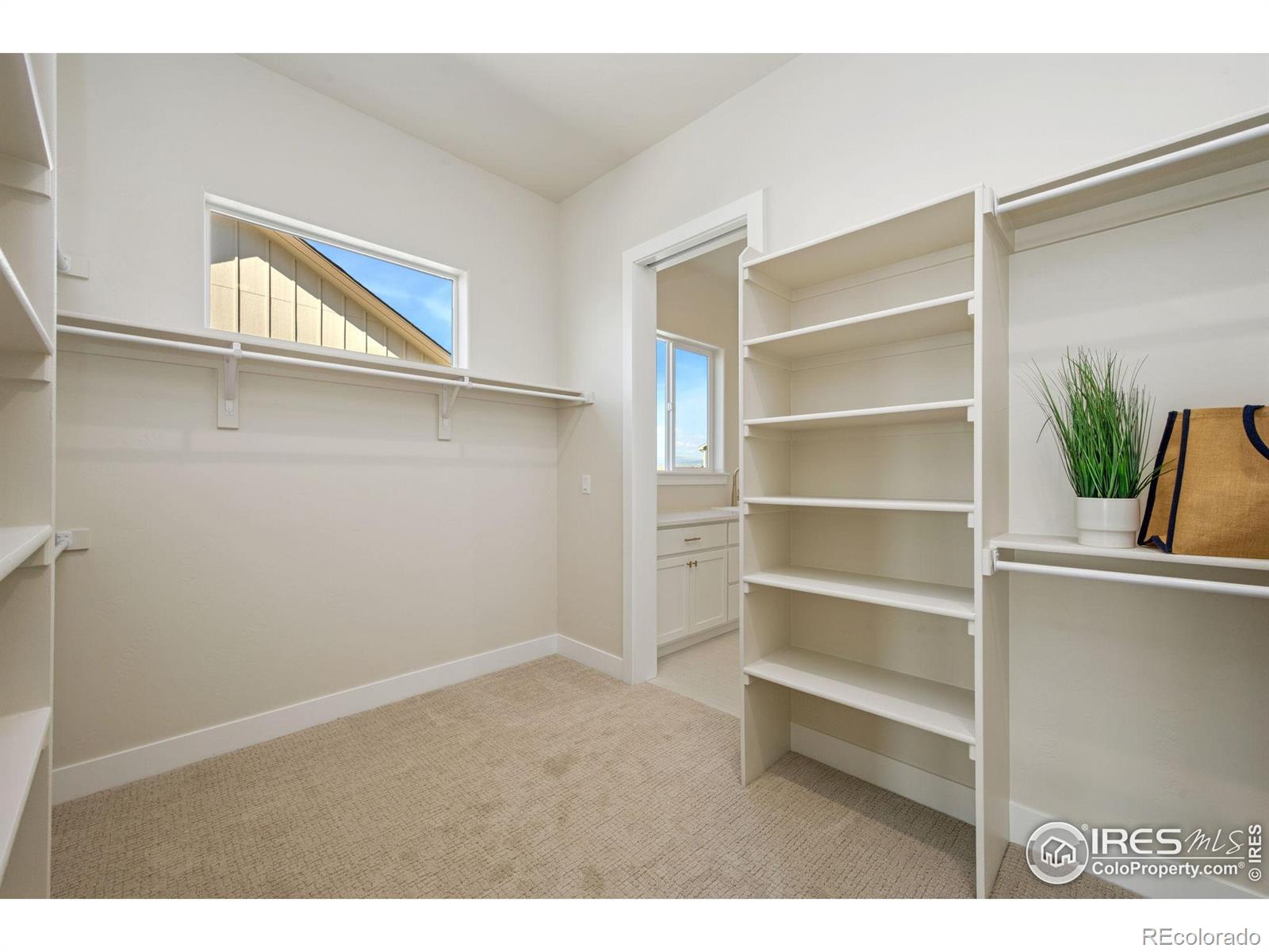 MLS Image #23 for 2996  elk lookout drive,loveland, Colorado