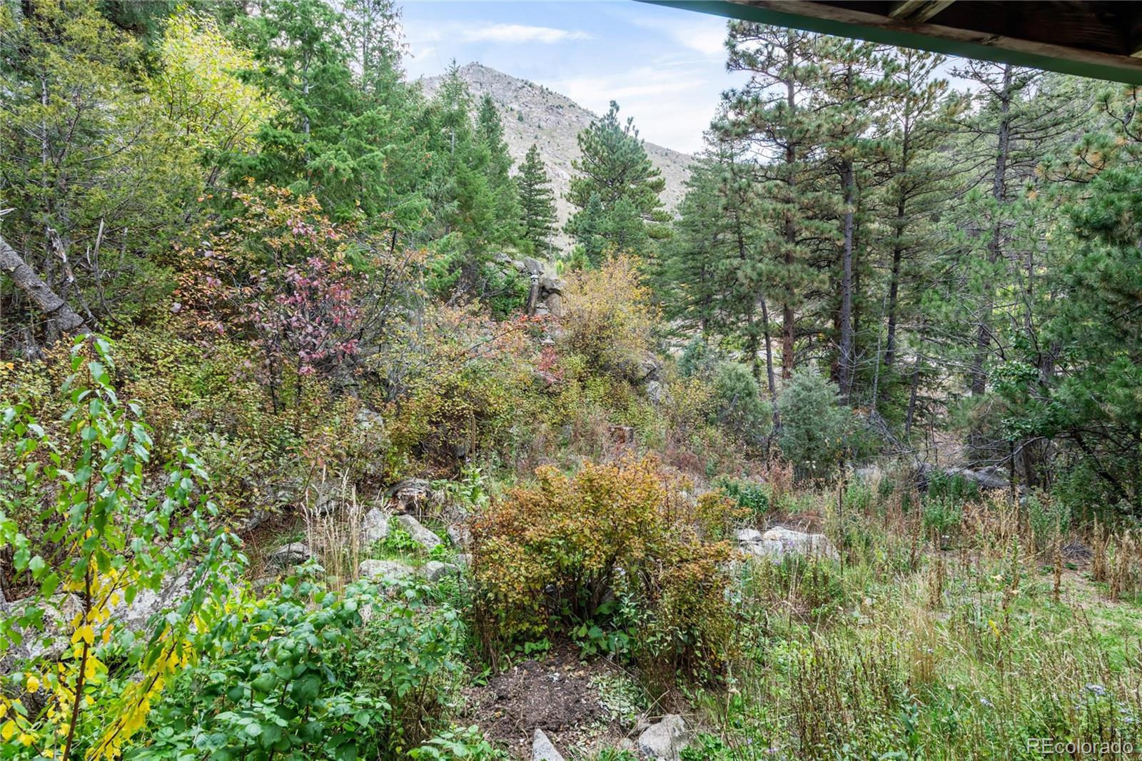 MLS Image #42 for 35112  boulder canyon drive,boulder, Colorado