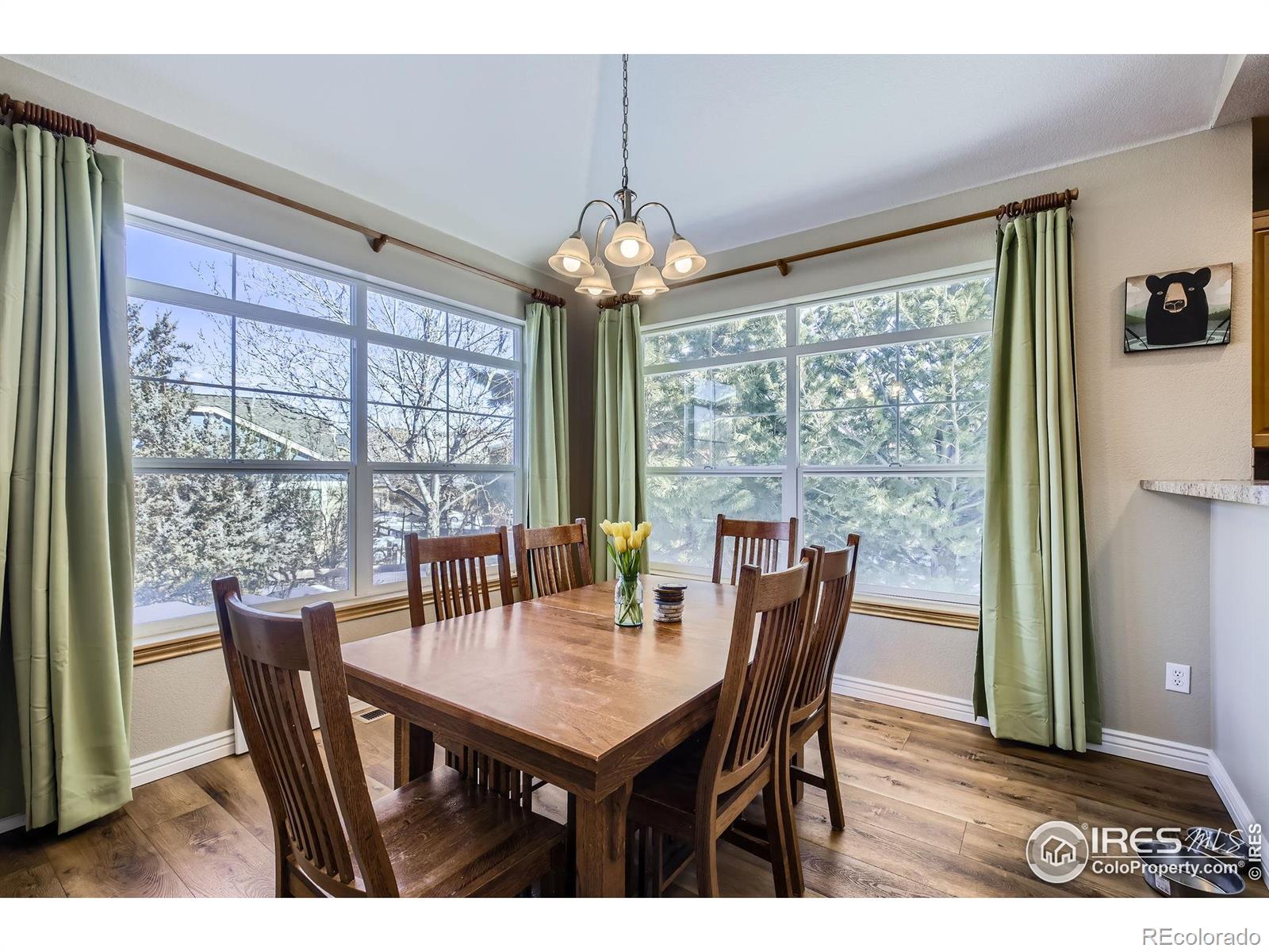 MLS Image #5 for 104  noland court,lyons, Colorado