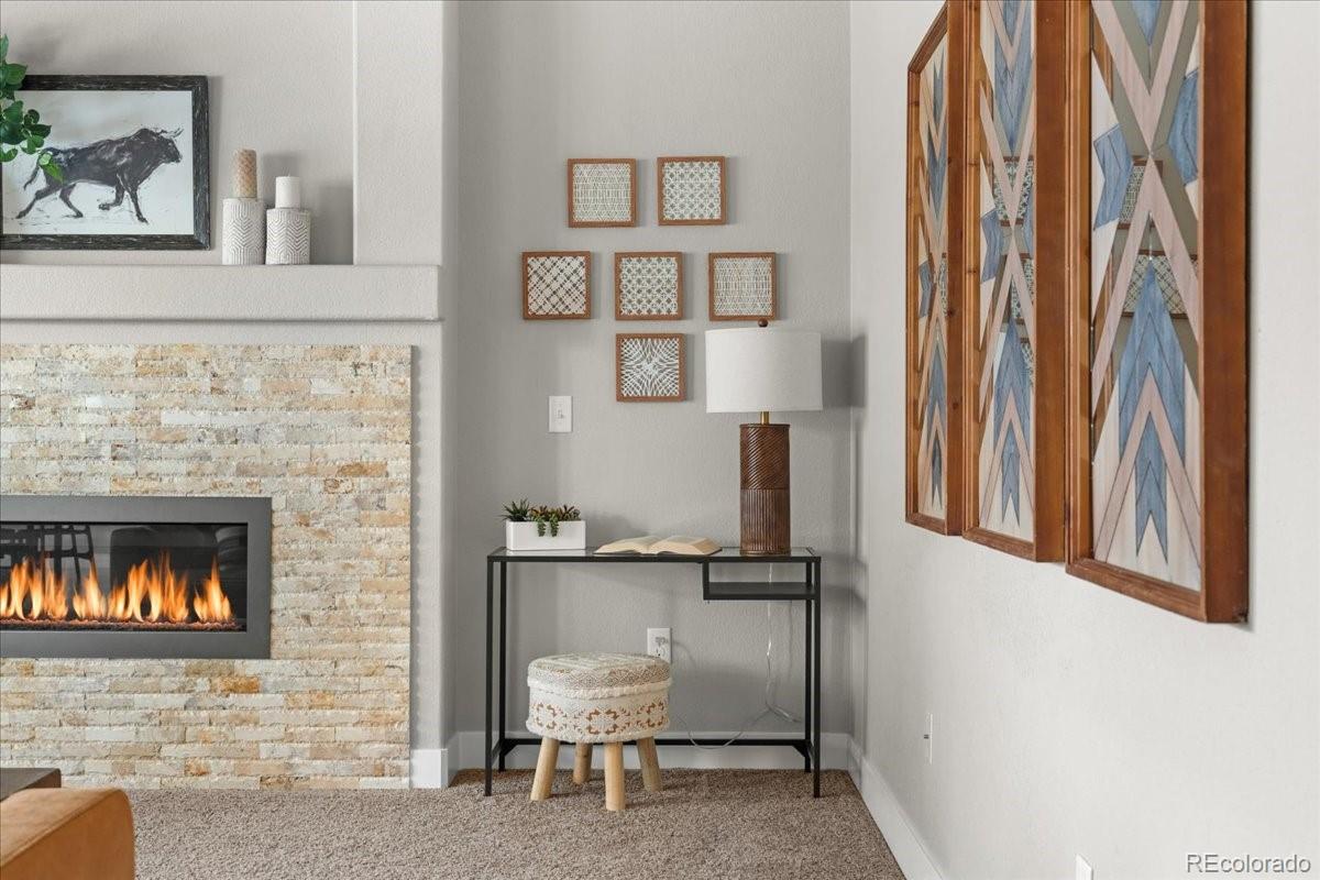 MLS Image #10 for 1062  mt columbia drive,severance, Colorado