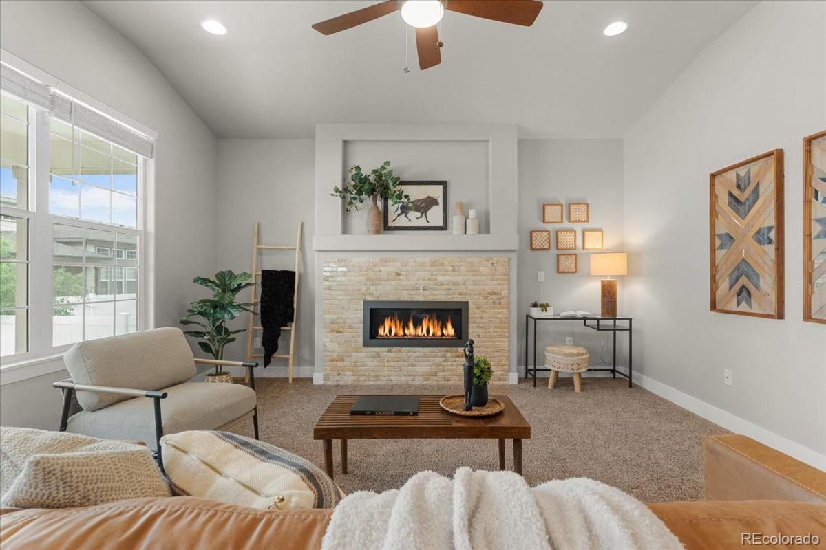 MLS Image #11 for 1062  mt columbia drive,severance, Colorado