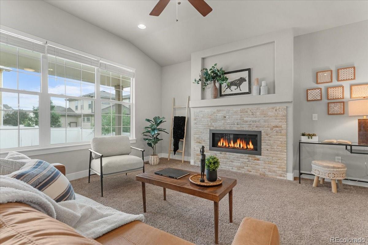 MLS Image #8 for 1062  mt columbia drive,severance, Colorado