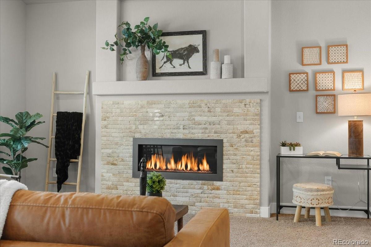 MLS Image #9 for 1062  mt columbia drive,severance, Colorado