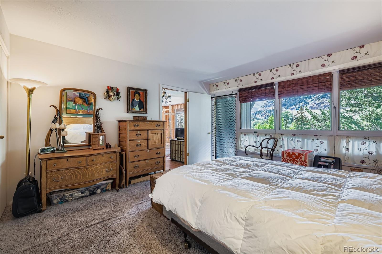 MLS Image #20 for 819  valley view drive,georgetown, Colorado