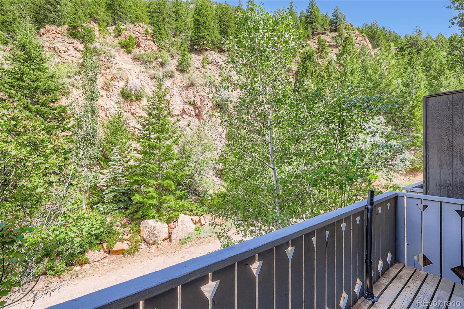 MLS Image #26 for 819  valley view drive,georgetown, Colorado