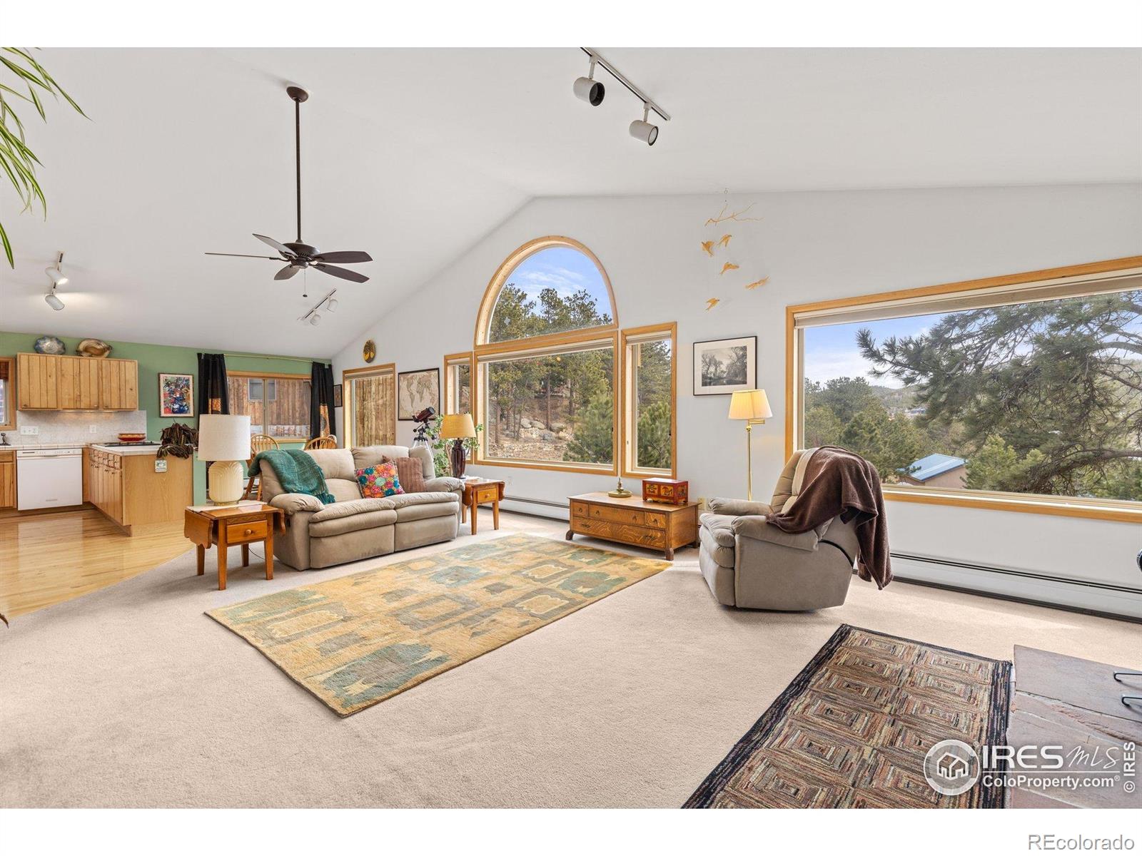 MLS Image #10 for 317 w 5th street,nederland, Colorado