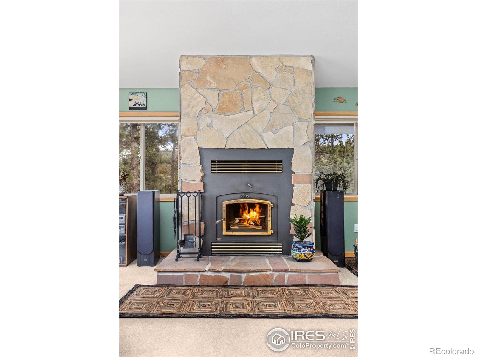 MLS Image #13 for 317 w 5th street,nederland, Colorado