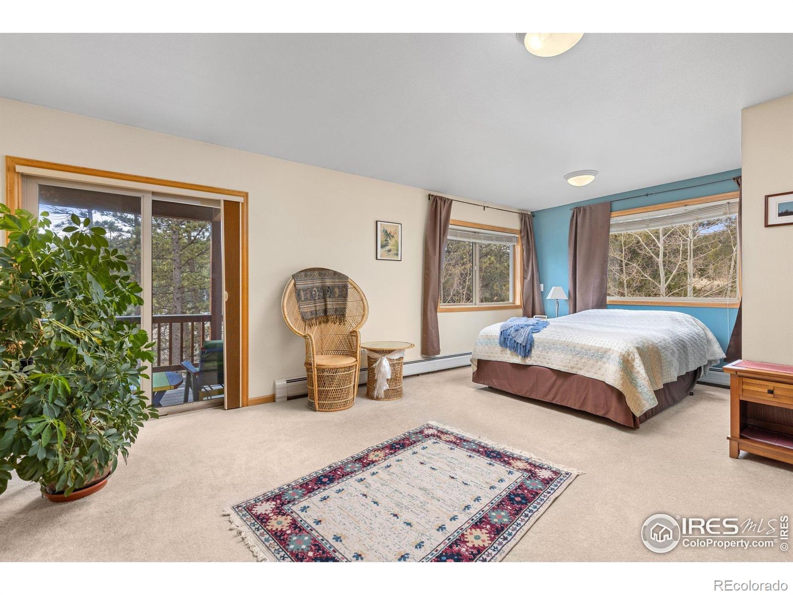 MLS Image #15 for 317 w 5th street,nederland, Colorado