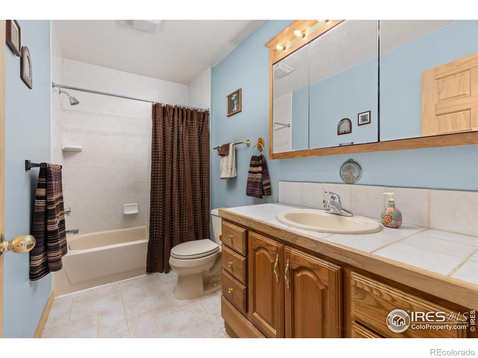 MLS Image #18 for 317 w 5th street,nederland, Colorado