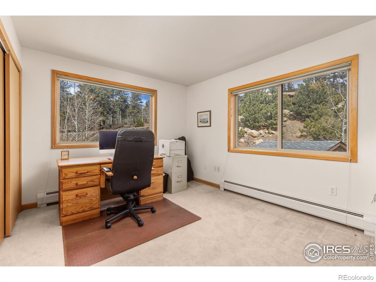 MLS Image #19 for 317 w 5th street,nederland, Colorado