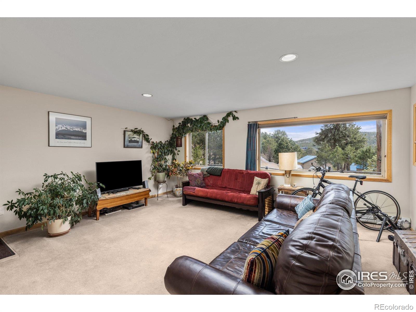 MLS Image #20 for 317 w 5th street,nederland, Colorado