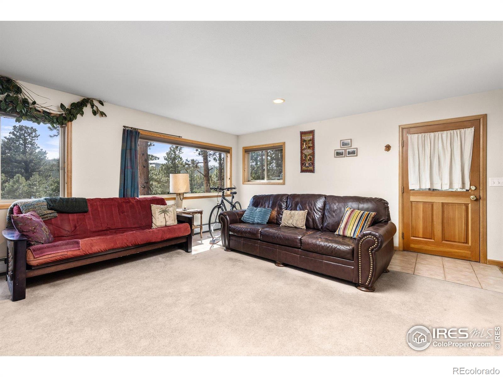 MLS Image #21 for 317 w 5th street,nederland, Colorado