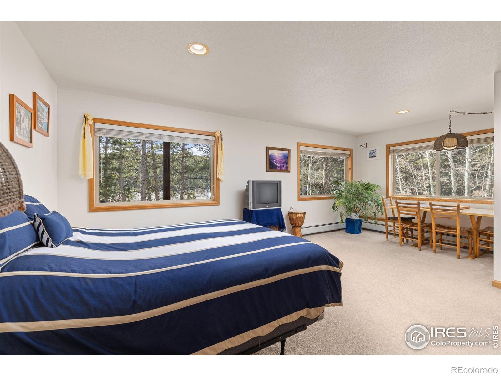 MLS Image #24 for 317 w 5th street,nederland, Colorado