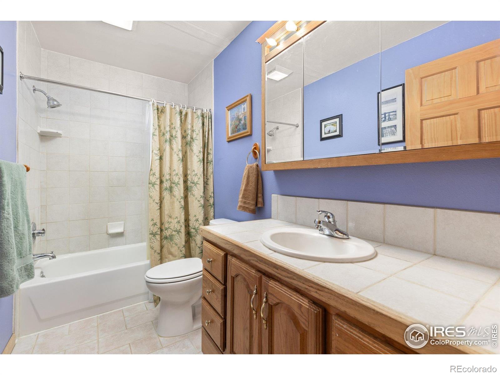 MLS Image #25 for 317 w 5th street,nederland, Colorado