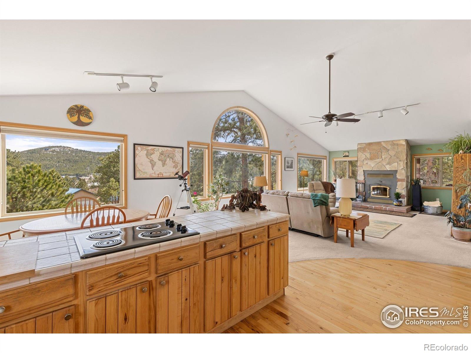 MLS Image #7 for 317 w 5th street,nederland, Colorado