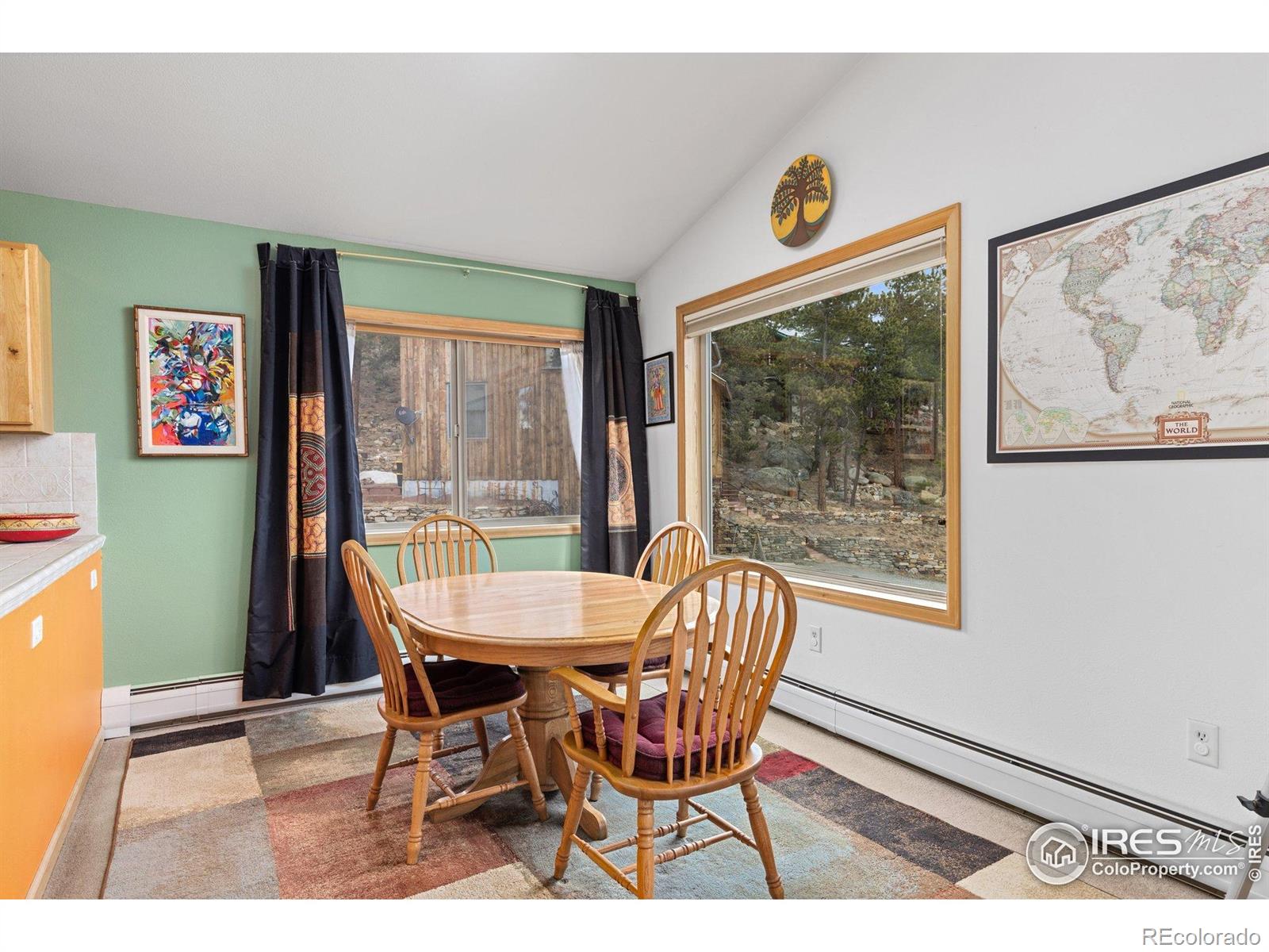 MLS Image #9 for 317 w 5th street,nederland, Colorado