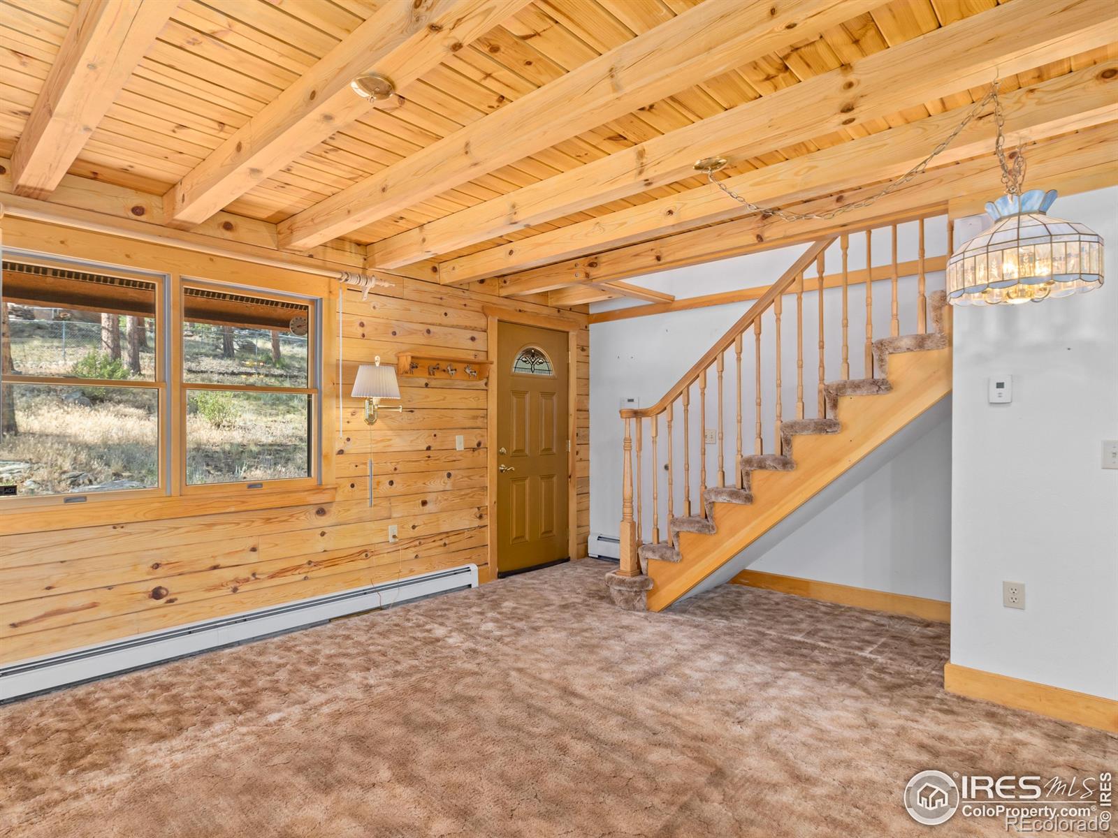 MLS Image #4 for 1280  broadview road,estes park, Colorado