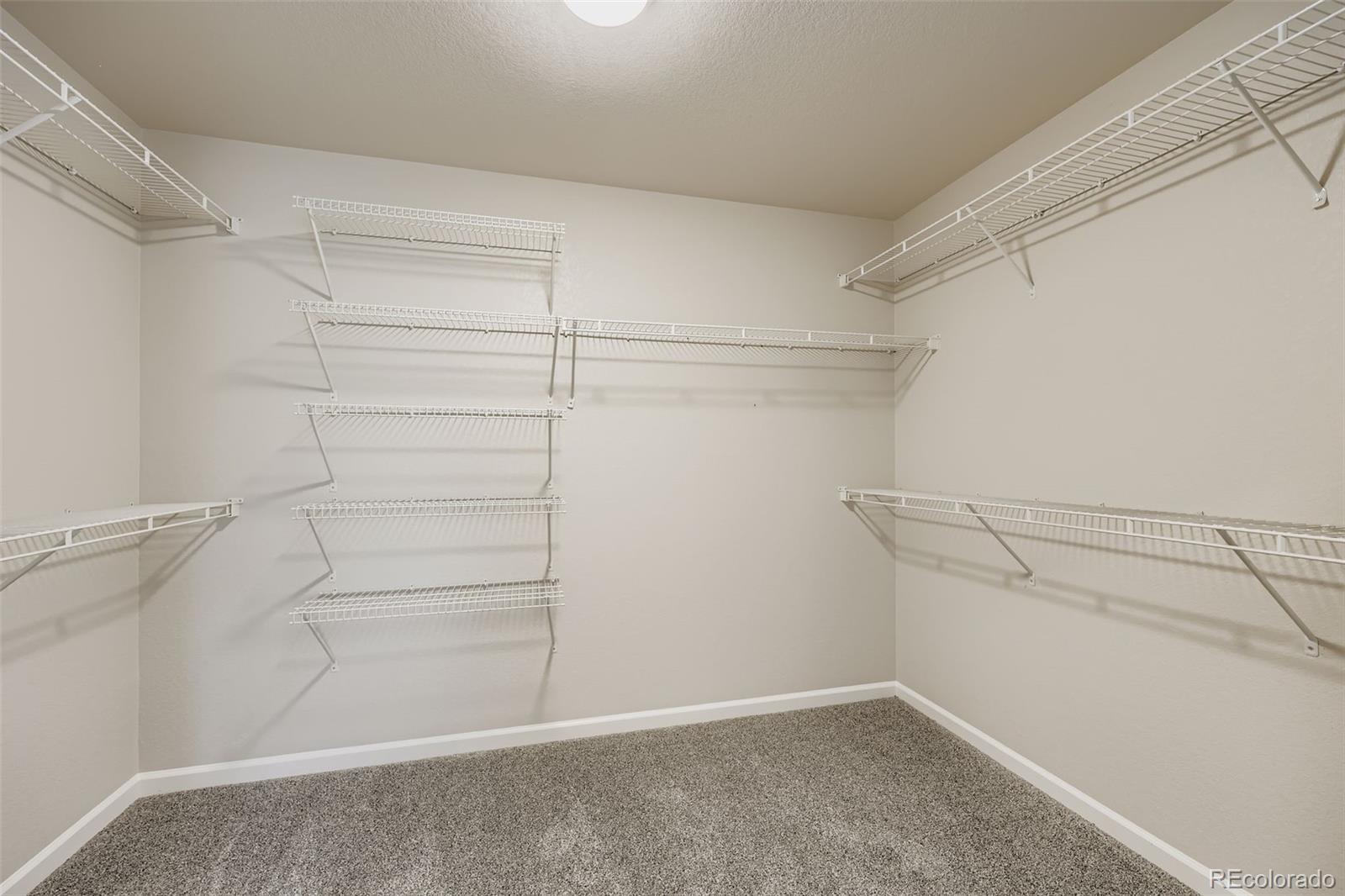 MLS Image #17 for 4245  prairie rose circle,castle rock, Colorado