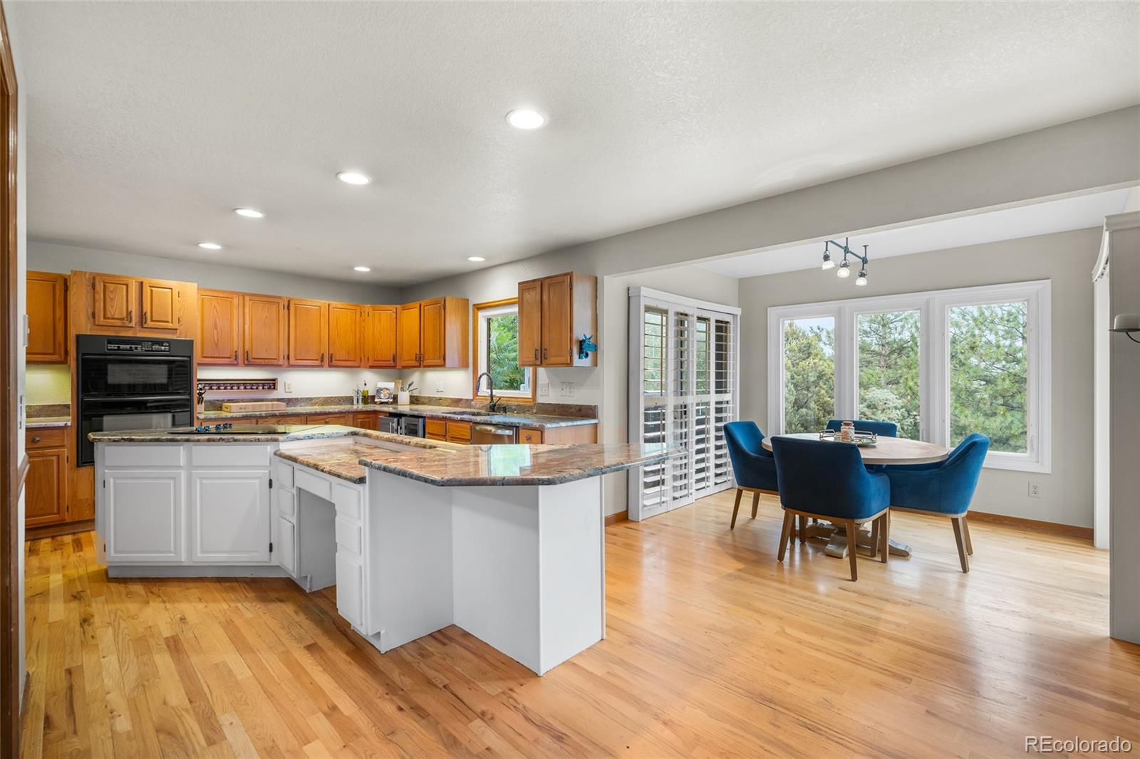 MLS Image #13 for 157  mc intyre circle,golden, Colorado