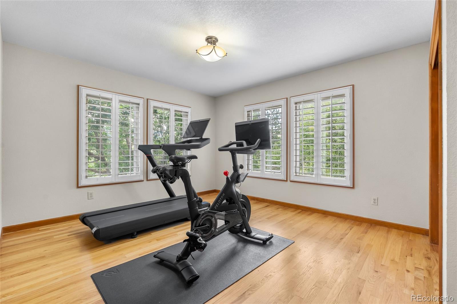 MLS Image #19 for 157  mc intyre circle,golden, Colorado