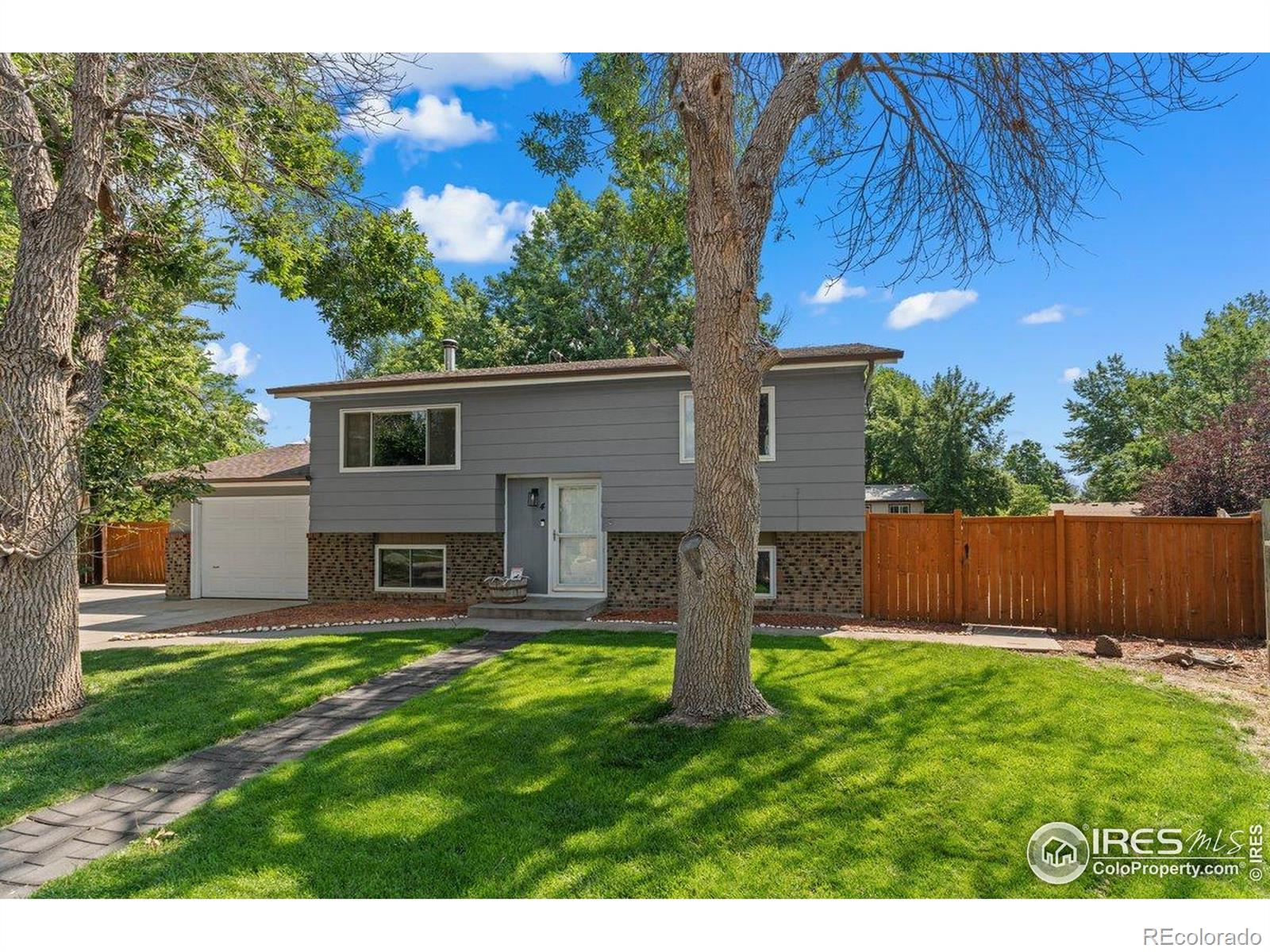 MLS Image #3 for 4  spruce court,windsor, Colorado