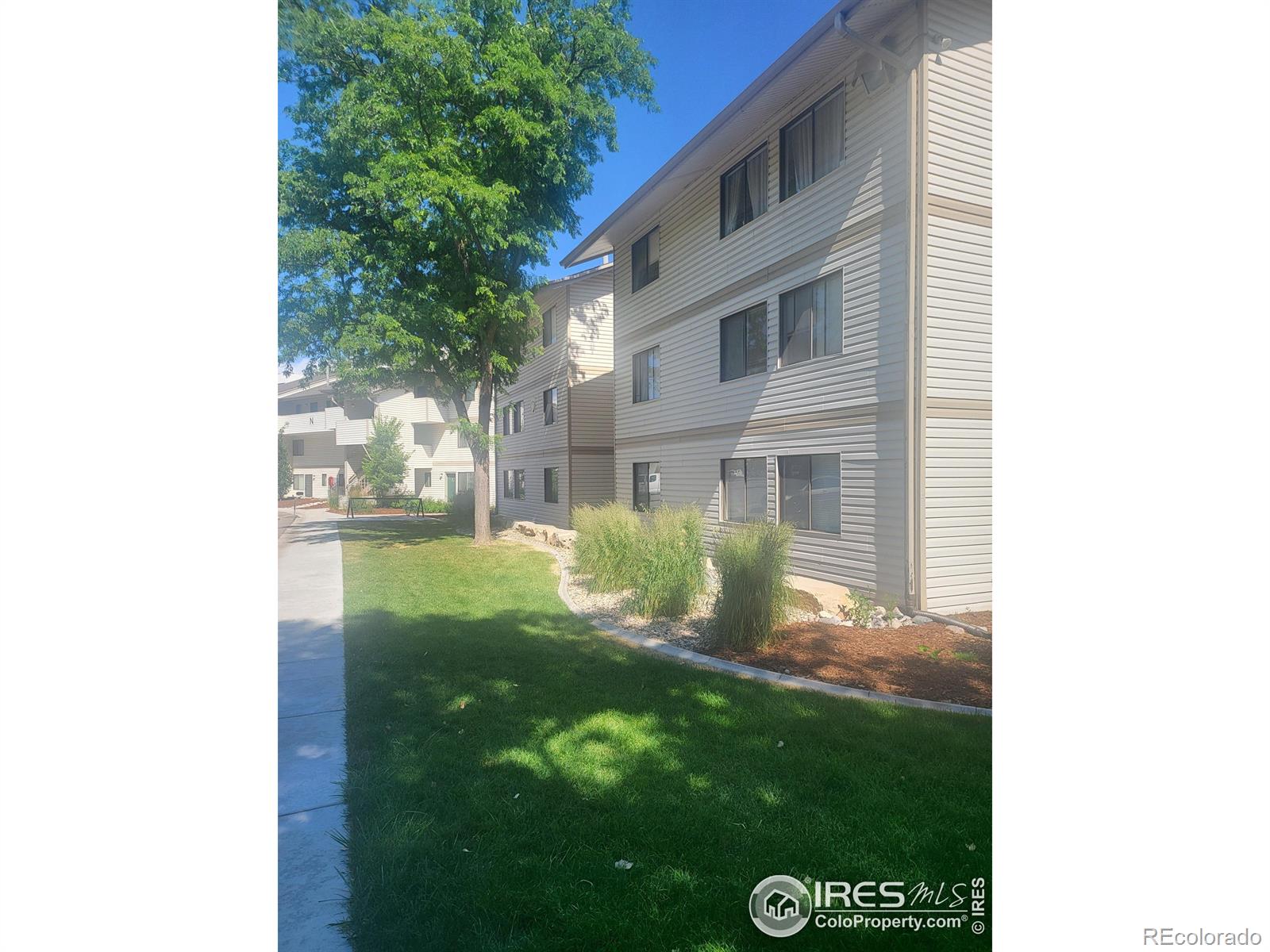 MLS Image #10 for 1705  heatheridge road,fort collins, Colorado