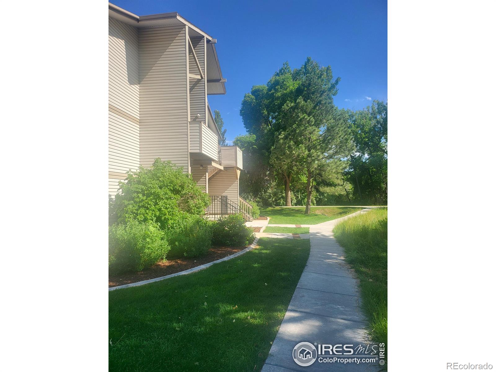 MLS Image #9 for 1705  heatheridge road,fort collins, Colorado