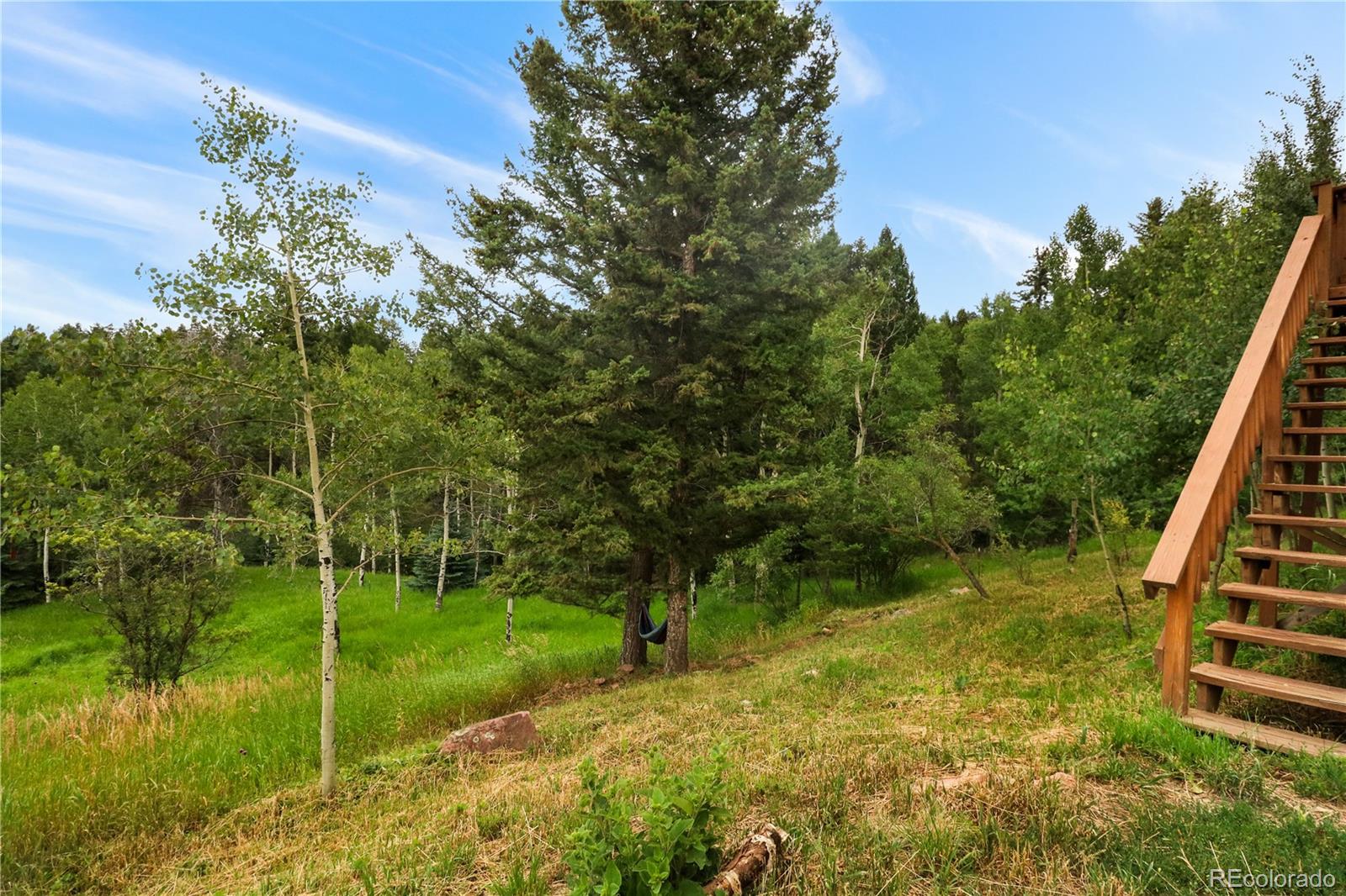 MLS Image #12 for 12348  quartz spur ,conifer, Colorado