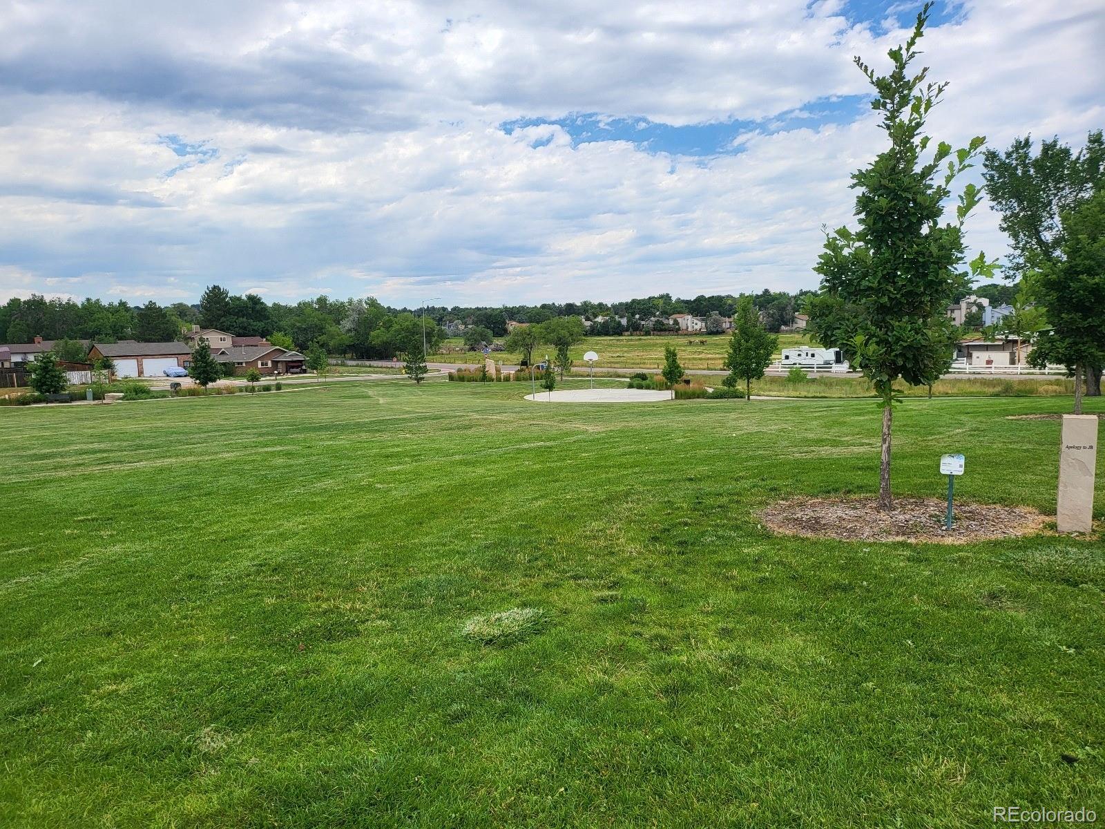 MLS Image #34 for 6714  gray court,arvada, Colorado