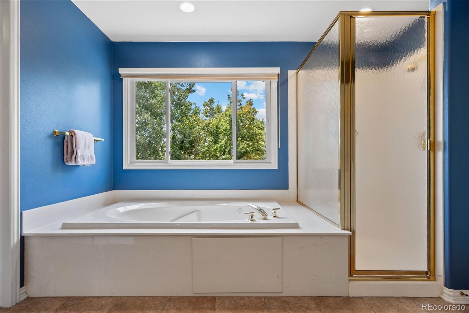 MLS Image #22 for 3656 w 100th avenue,westminster, Colorado