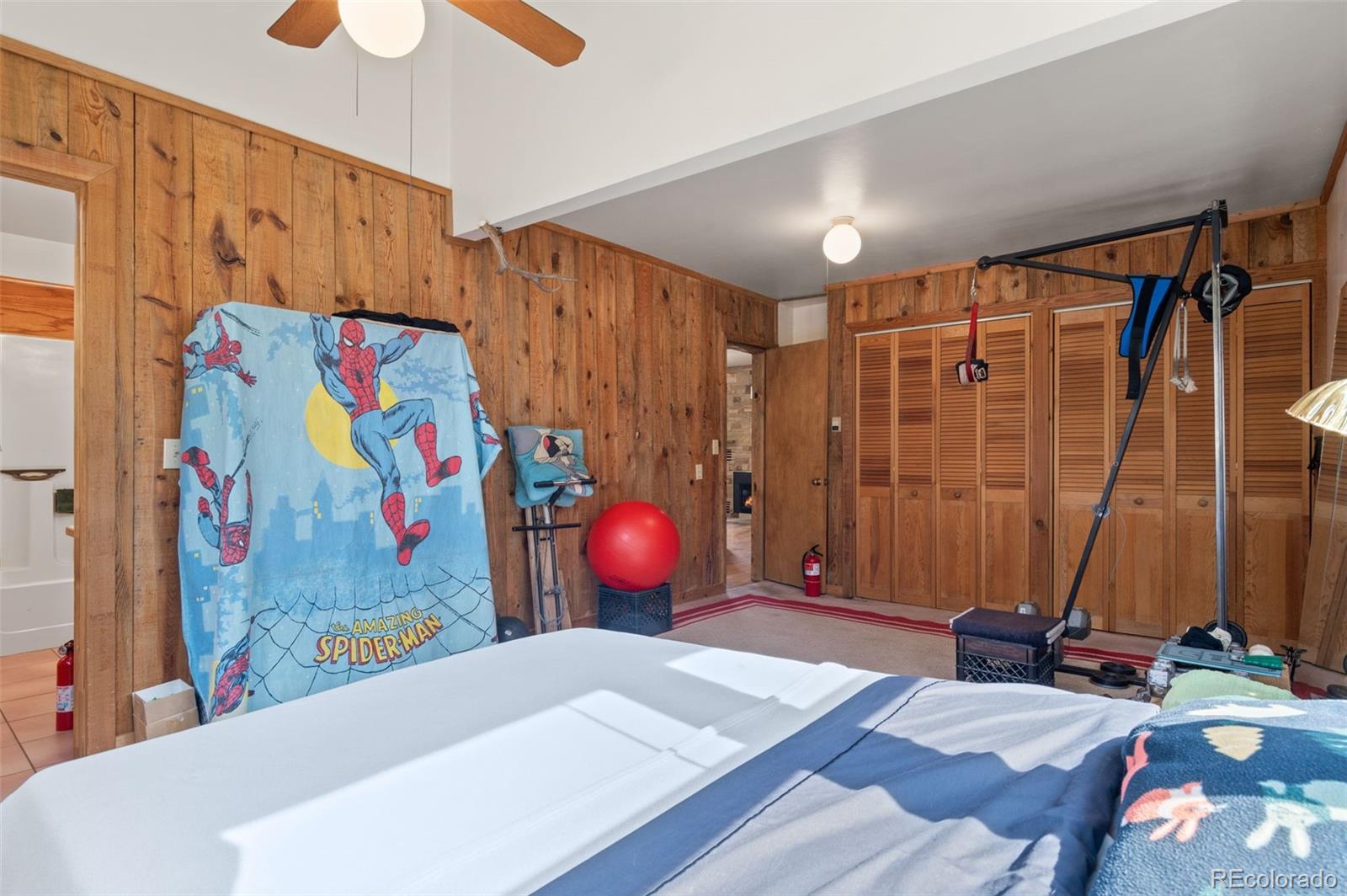 MLS Image #11 for 5825  herzman drive,evergreen, Colorado