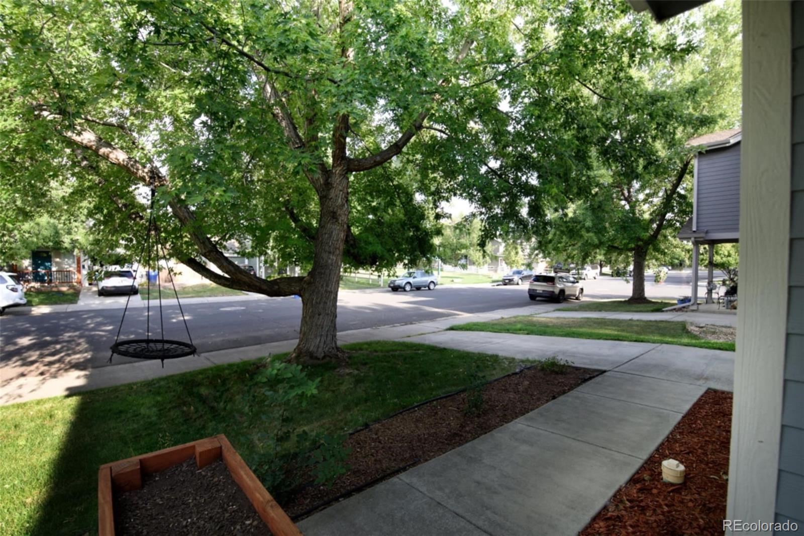 MLS Image #2 for 10653  forester place,longmont, Colorado