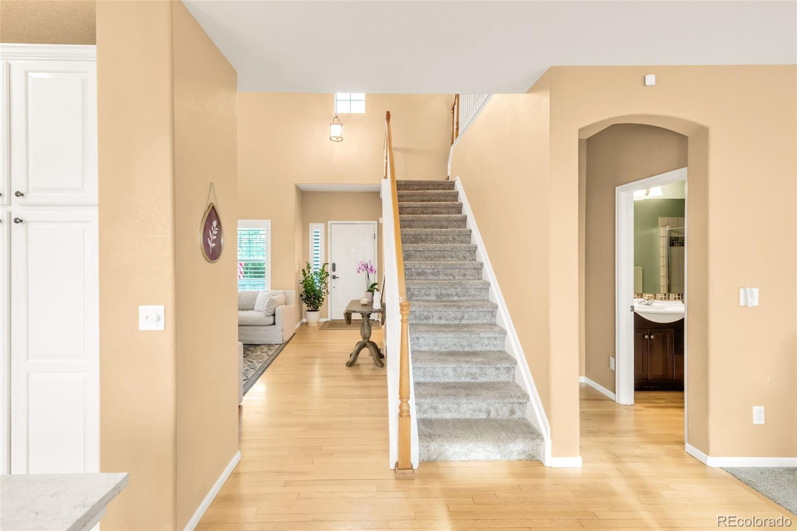 MLS Image #11 for 10253  bentwood circle,highlands ranch, Colorado