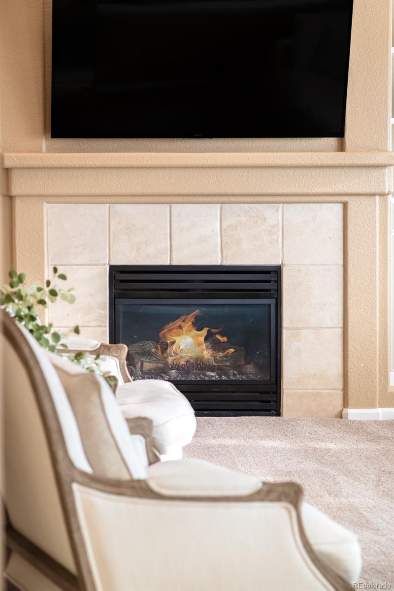 MLS Image #19 for 10253  bentwood circle,highlands ranch, Colorado