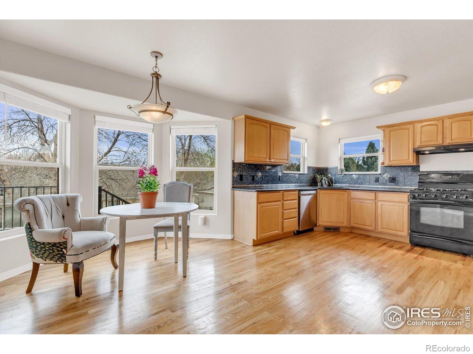 MLS Image #13 for 1730  crestone drive,longmont, Colorado