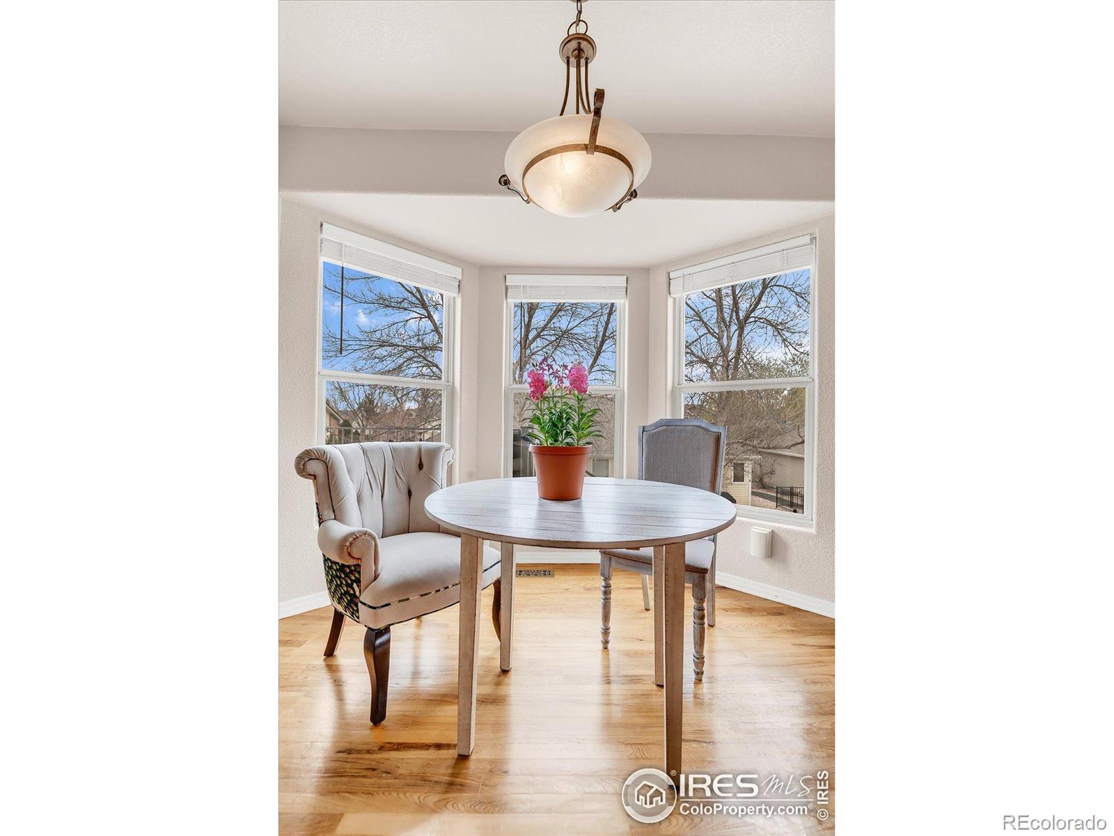 MLS Image #14 for 1730  crestone drive,longmont, Colorado