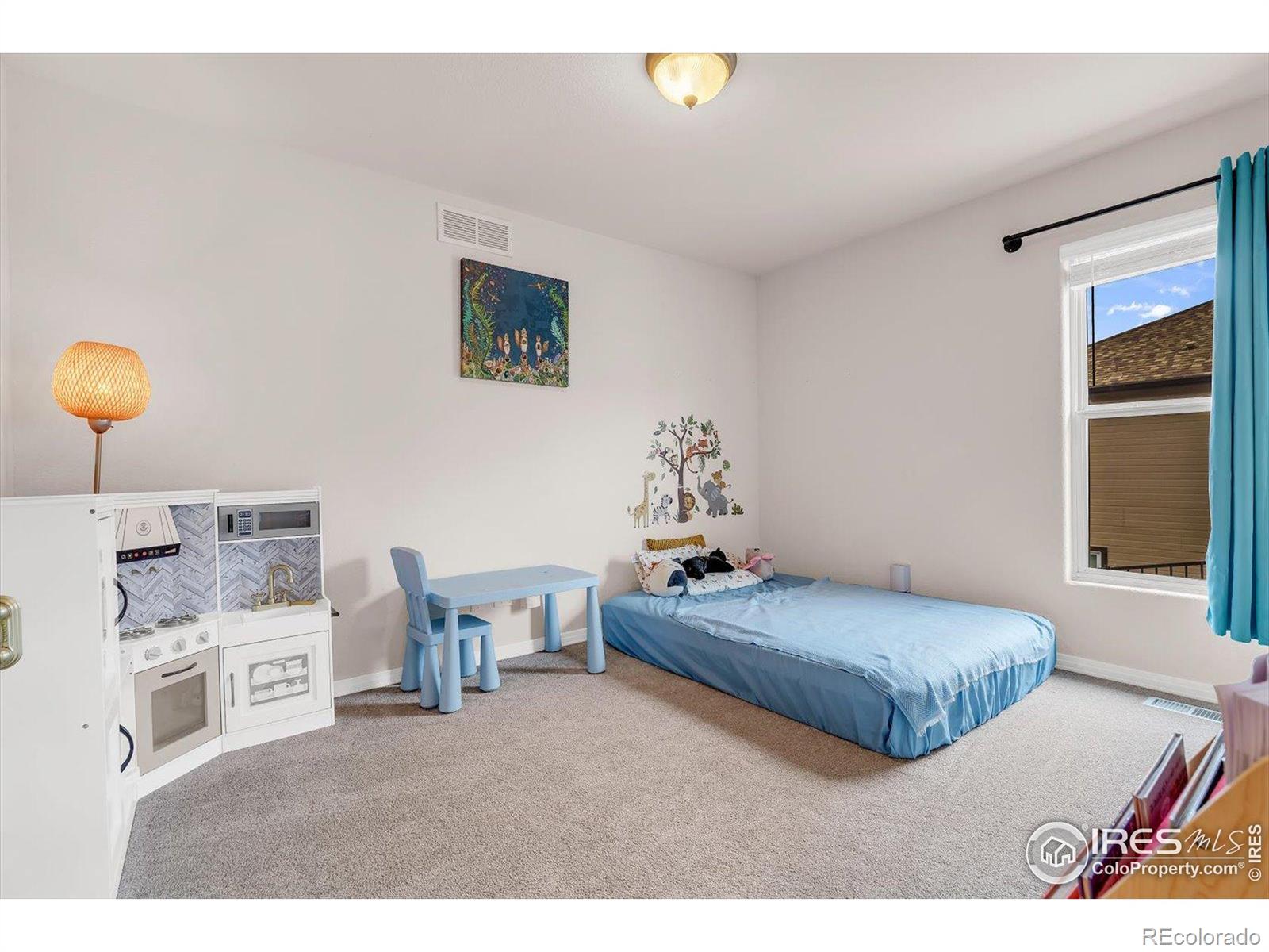MLS Image #25 for 1730  crestone drive,longmont, Colorado