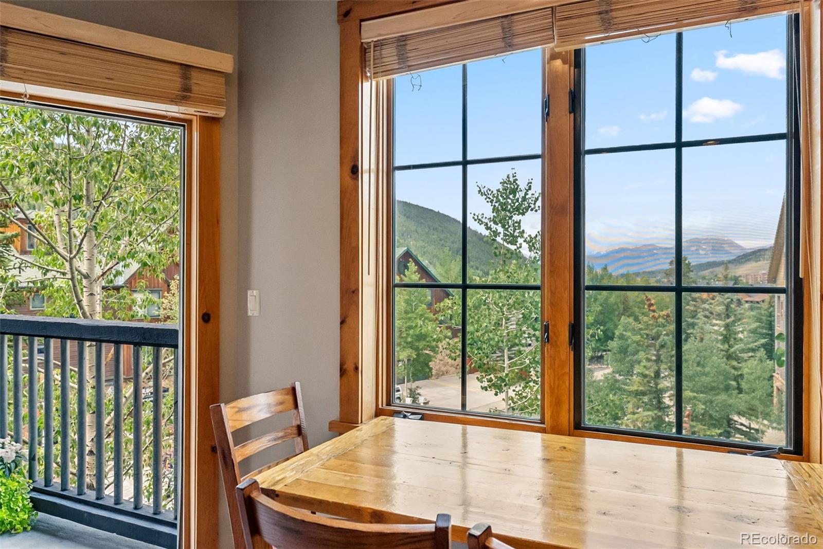 MLS Image #22 for 150  dercum square,dillon, Colorado