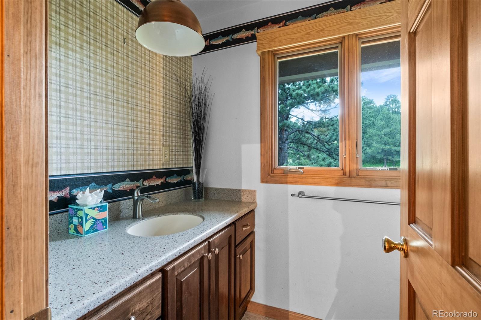 MLS Image #20 for 19736  flint lane,morrison, Colorado