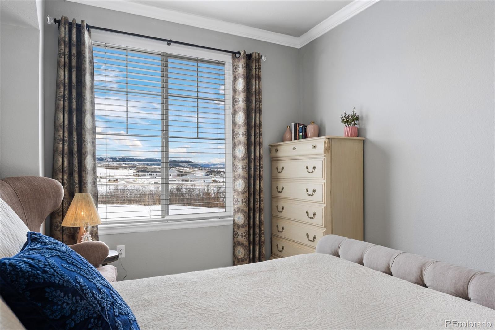 MLS Image #33 for 624  simmental loop,castle rock, Colorado
