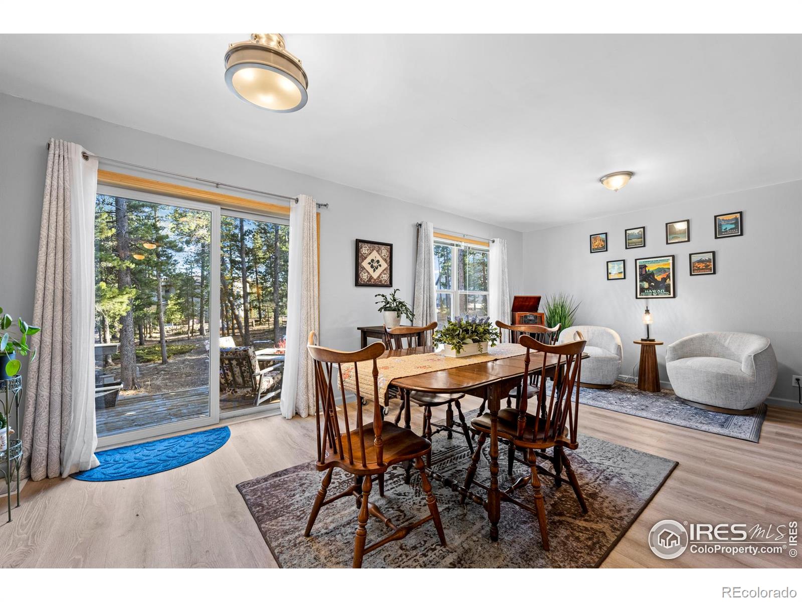 MLS Image #11 for 477  horseshoe place,nederland, Colorado