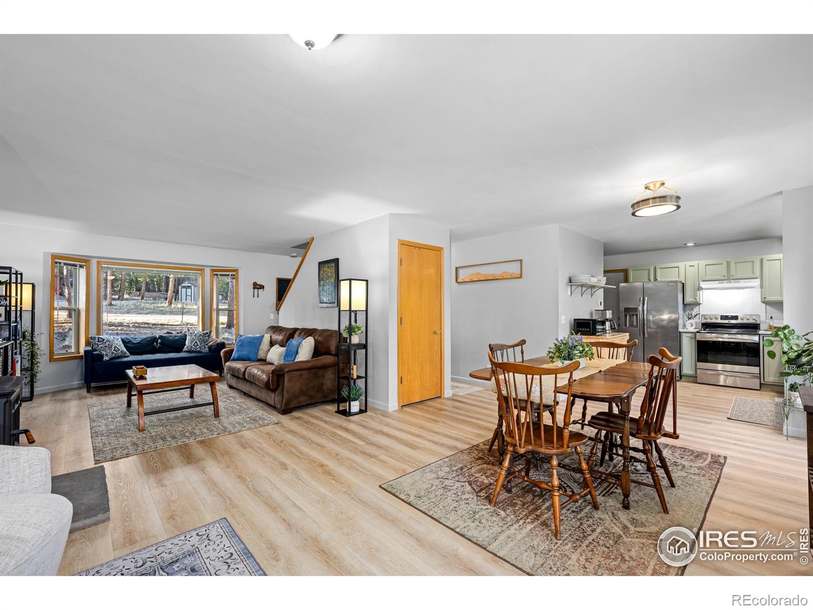 MLS Image #13 for 477  horseshoe place,nederland, Colorado