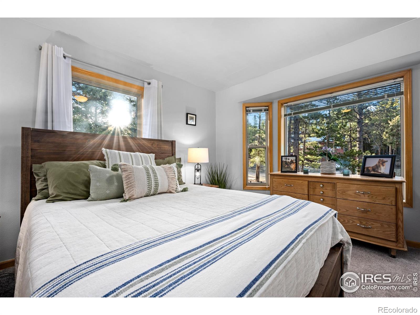 MLS Image #22 for 477  horseshoe place,nederland, Colorado