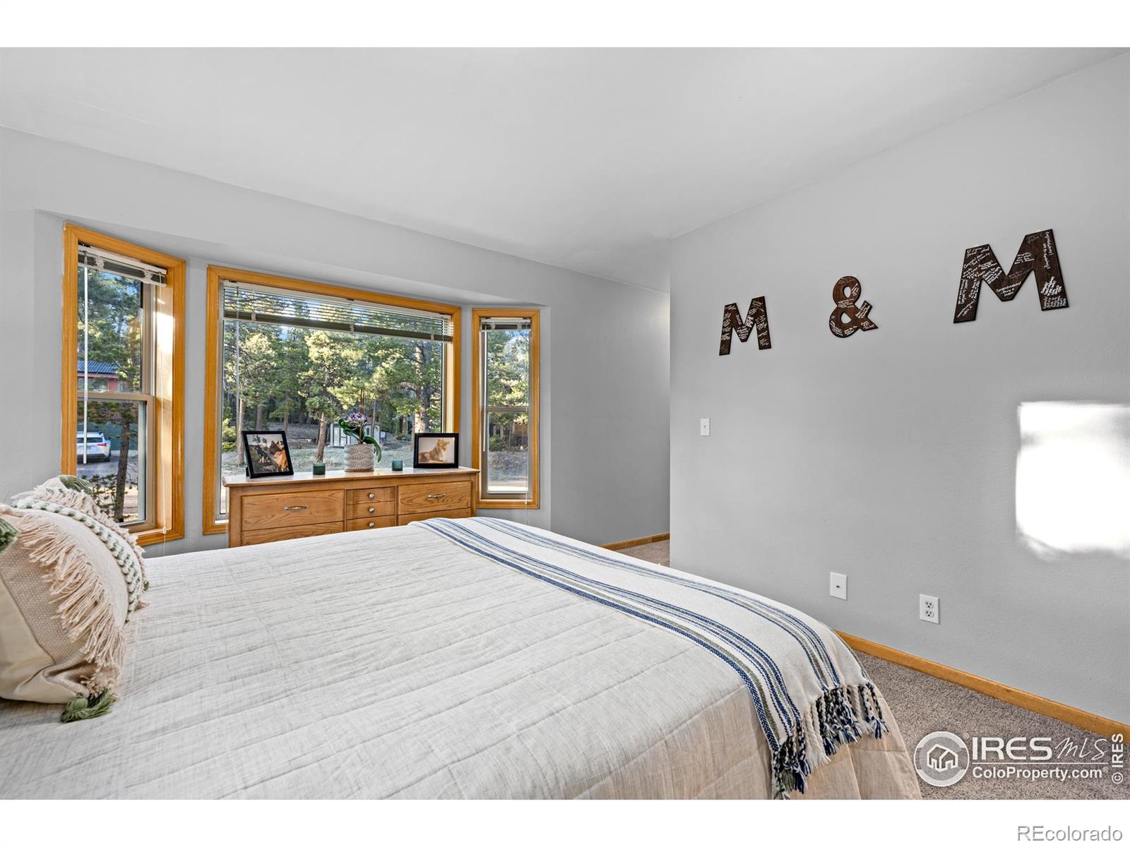 MLS Image #23 for 477  horseshoe place,nederland, Colorado