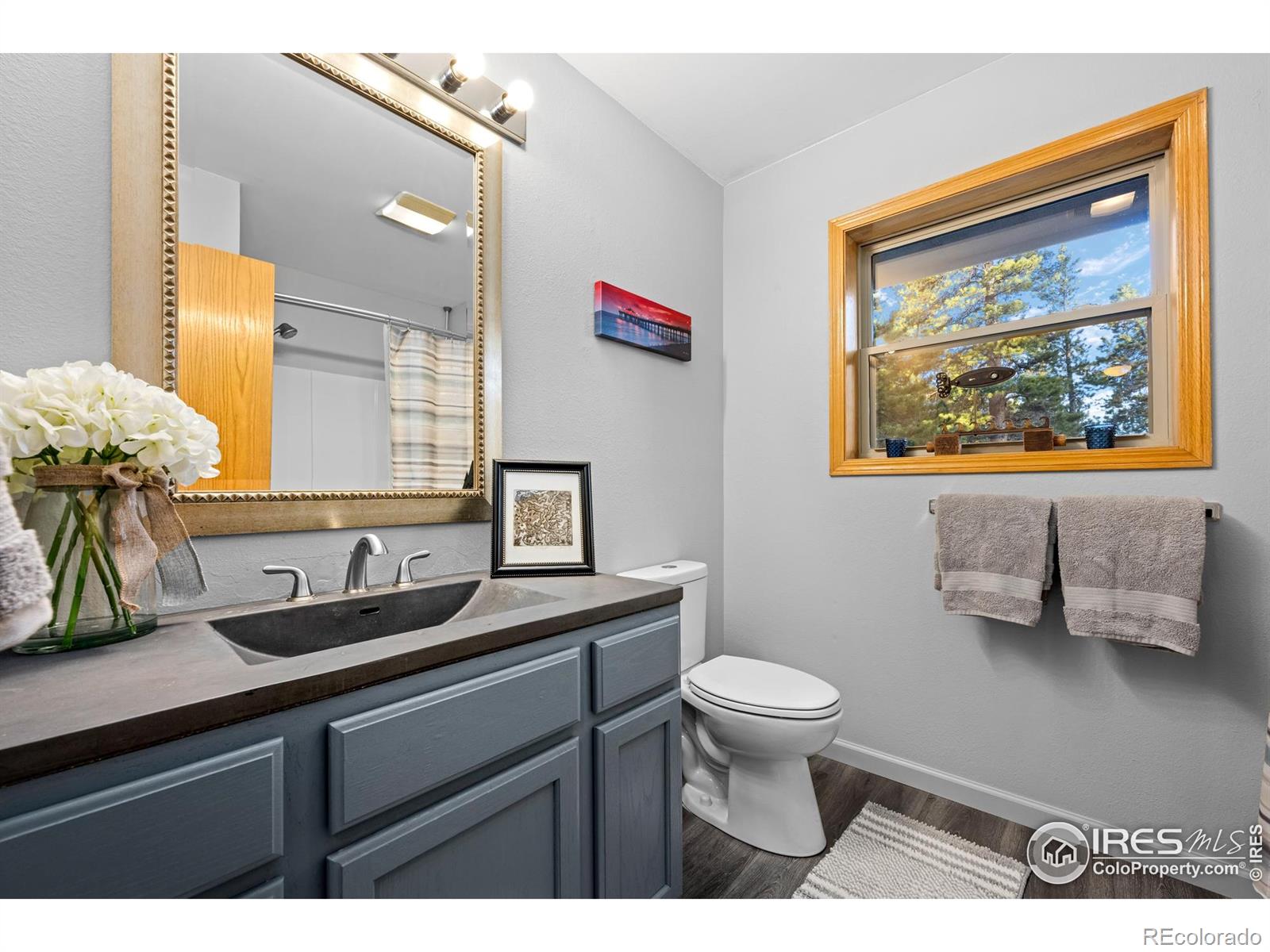 MLS Image #29 for 477  horseshoe place,nederland, Colorado