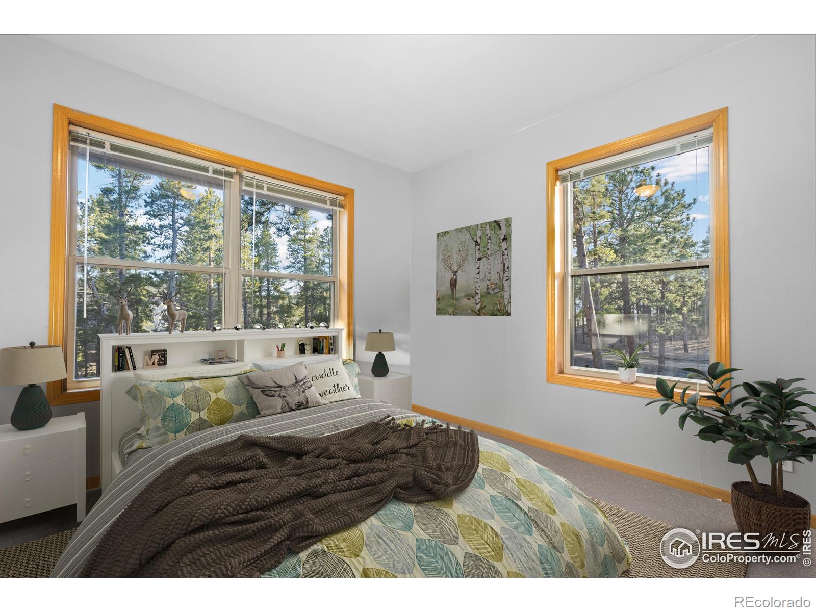 MLS Image #30 for 477  horseshoe place,nederland, Colorado