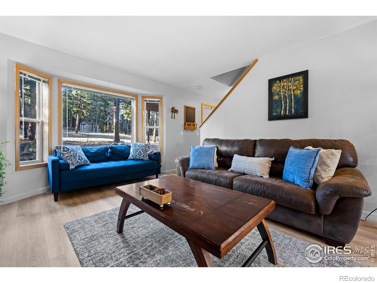 MLS Image #6 for 477  horseshoe place,nederland, Colorado